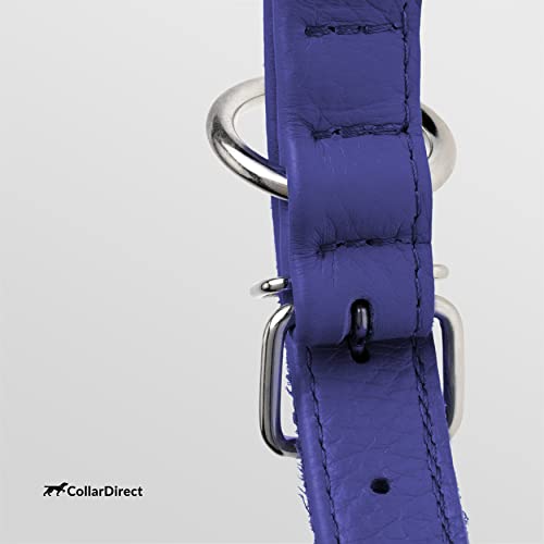 Tangle Free Rolled Leather Dog Collar (Purple / S)