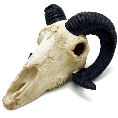 Fish Aquarium Tank Hideout Décor Decorations Dinosaur Skull Fish Tank Decor Cave Skull Betta Animal Halloween Large Reptile Bones Snake for Terrarium Ornament (Horned Sheep)