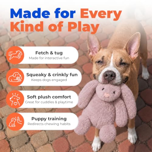 Bunny Buddy Squeaky Plush Dog Toy (Bunny (Mauve) / Small)