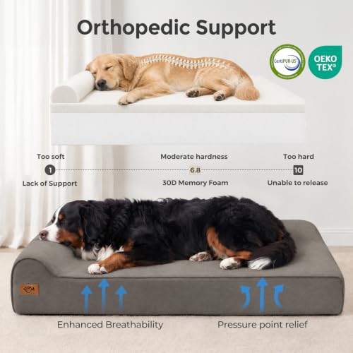 XXL 35D Memory Foam Dog Bed for Extra Large Dogs (XX-Large / Dark Grey)