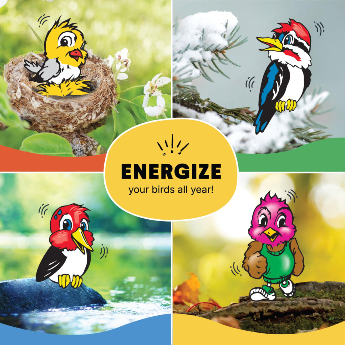 Woodpecker Delight No Melt Suet Dough (1.47 Ounce (Pack of 8) / Woodpecker, 8 Pack)