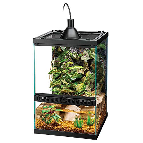 11 Gallon Glass Tropical Vertical Terrarium Kit (Terrarium)