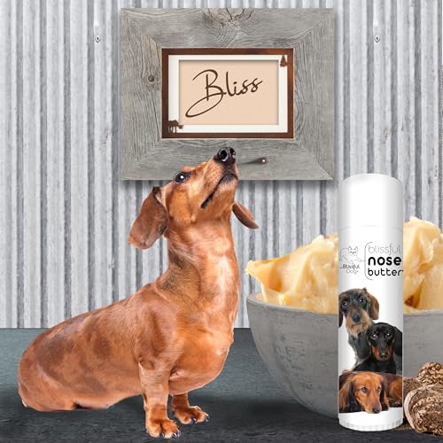 Daschund Nose Butter for Dry (Dachshund / 0.50 Ounce)