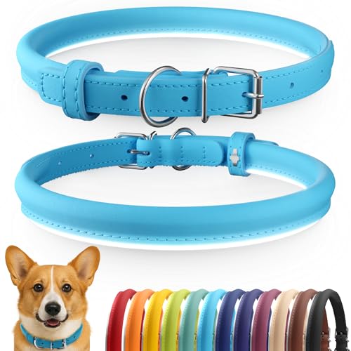 Tangle Free Reflective Leather Dog Collar (Light Blue / L)