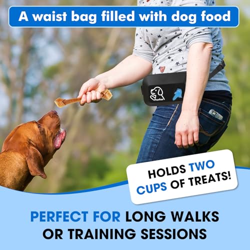 Dog Treat Pouch with Clicker & Poop Bag Holder (Black)