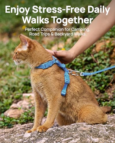 Adjustable Cat Harness and Leash Set Escape Proof (Blue)