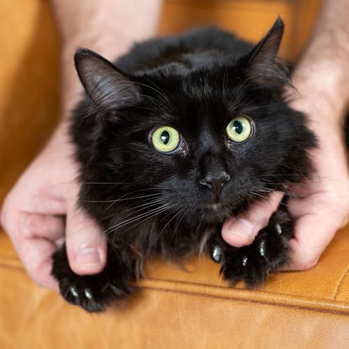 Cat Nail Caps for Medium Cats (Silver Sparkle / Medium)
