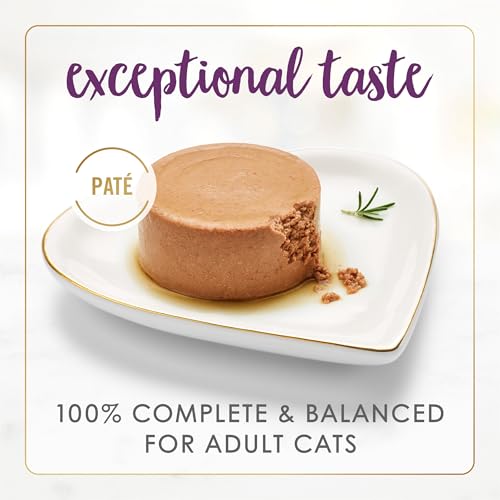 Purina Fancy Feast Senior 7 Year + Beef Feast Wet Cat Food (3 Ounce (Pack of 24))