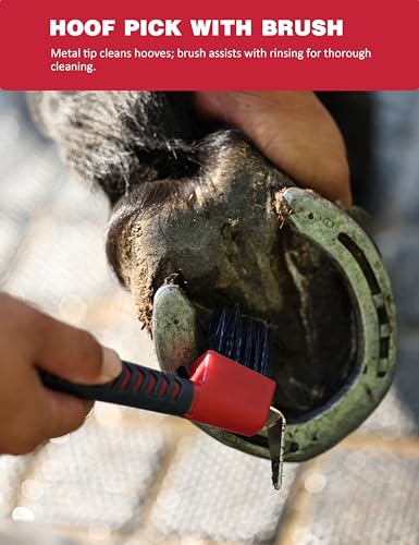 Horse Grooming Kit (Shadowberry)