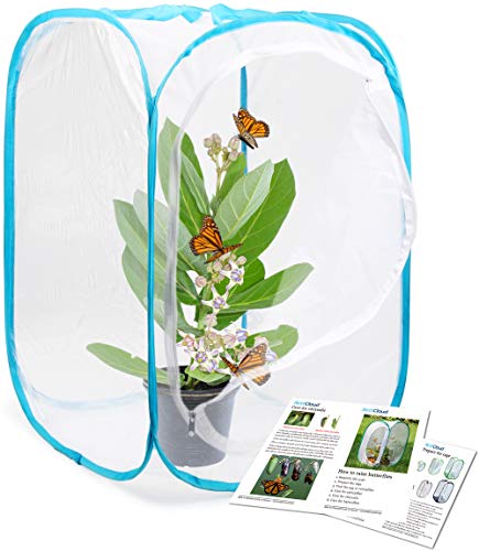 Insect and Butterfly Habitat Cage Pop (White With Blue / 15.7 x 15.7 x 23.6 inches)