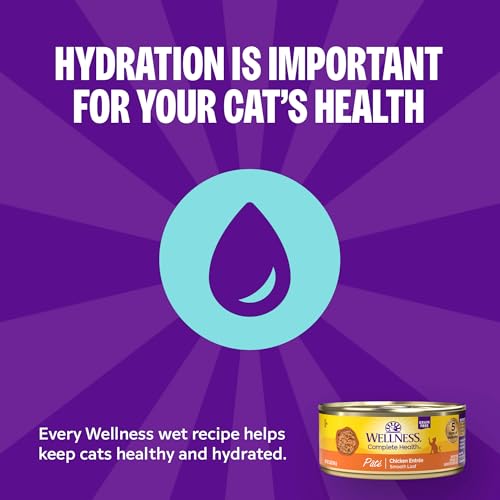 Complete Health Sliced Adult Canned Wet Cat Food (5.5 Ounce (Pack of 24))