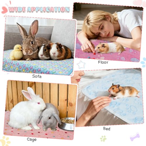 8 Pack Guinea Pigs Fleece Blankets (30x20 Inch /8 Packs / Light Color)
