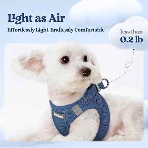 Dog Harness Small Sized and Leash Set (Navy Blue / S (chest: 15.1 - 16.5"))