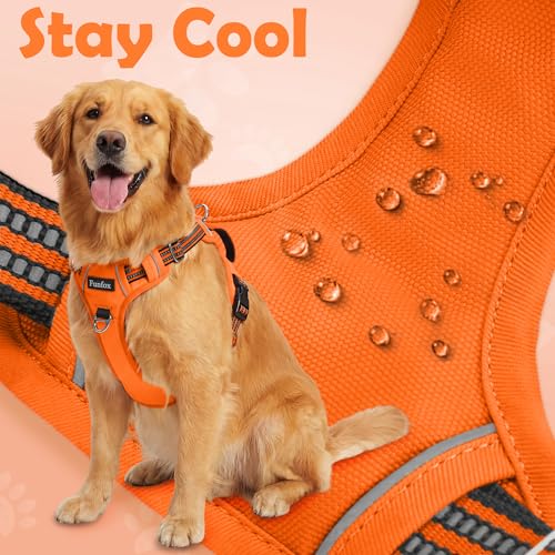 Dog Harness No Pull (Orange / Medium)