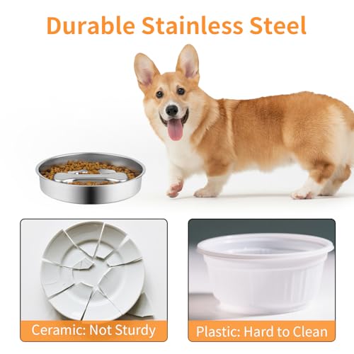 Non Slip Stainless Steel Slow Feeder Dog Bowl (2 Cups)