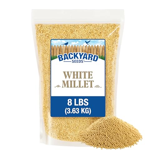 8LB White Proso Millet Bird Seed for Wild Birds & Finches (White Millet / 8 Pound (Pack of 1))