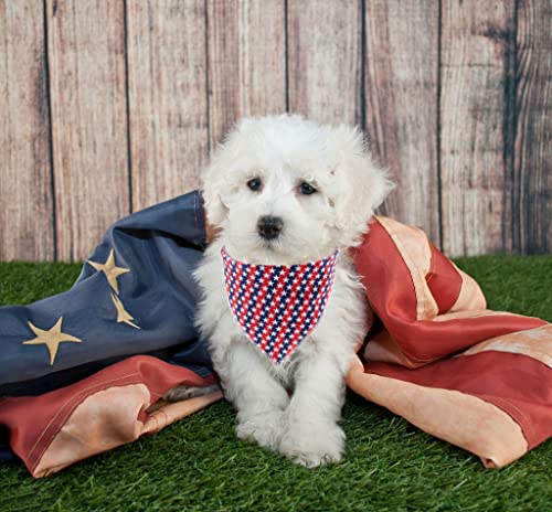 Dog Bandana 4th of July Fabric (Star / Small (Pack of 1))
