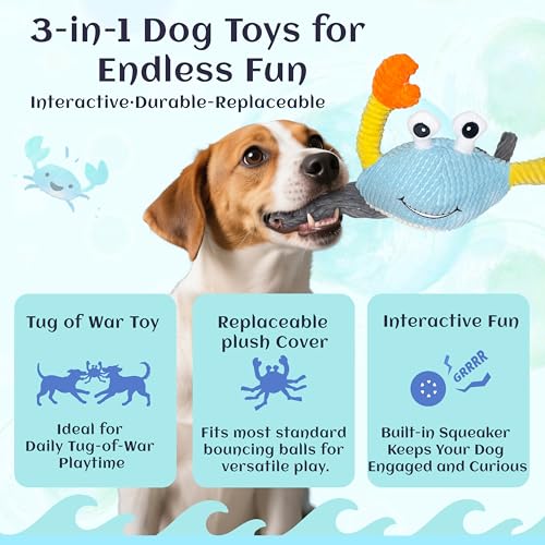 Dog Toys for Aggressive Chewers