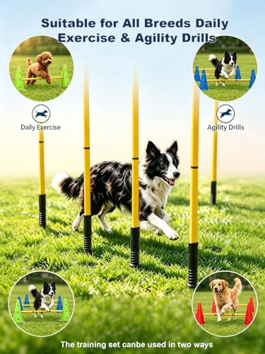 Dog Agility Training Hurdle Cone Set