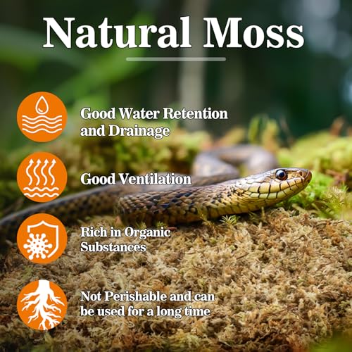 Sphagnum Moss for Reptiles & Plants (3.5 Ounces / Yellow Green)