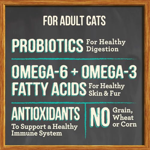 Purrfect Bistro Grain Free Natural Dry Cat Food For Adult Cats (4 Pound (Pack of 1))