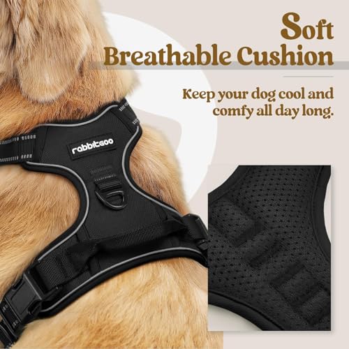 Dog Harness No Pull for Small Dogs with 2 Leash Clips (Small / Black)
