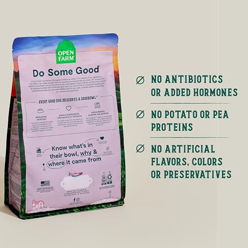 Goodbowl Dry Dog Food (3.5 Pound (Pack of 1))