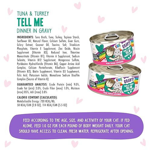 B.F.F. OMG Best Feline Friend Oh My Gravy! (2.8 Ounce (Pack of 12))