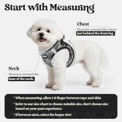 Dog Harness Small Sized and Leash Set (Black Zigzag / Xs (chest: 13.3 - 15.5"))