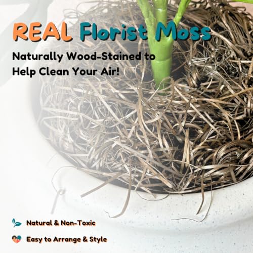 Original Hidden Litter Box Planter (Broad Leaf Philodendron / Base Kit / Soft White)
