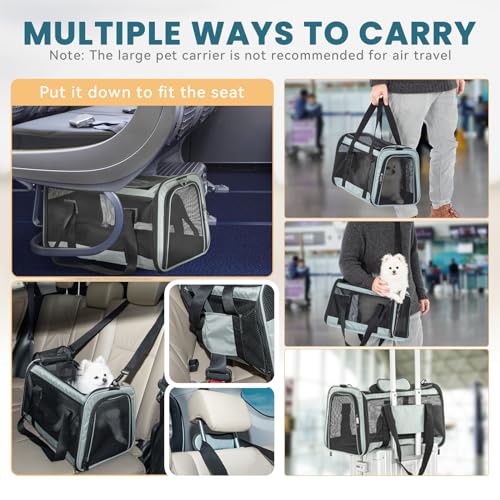 19 x 12 x 12 Large Cat Car Carrier (19.0"L x 12.0"W x 12.0"H / Z-Cyan blue)