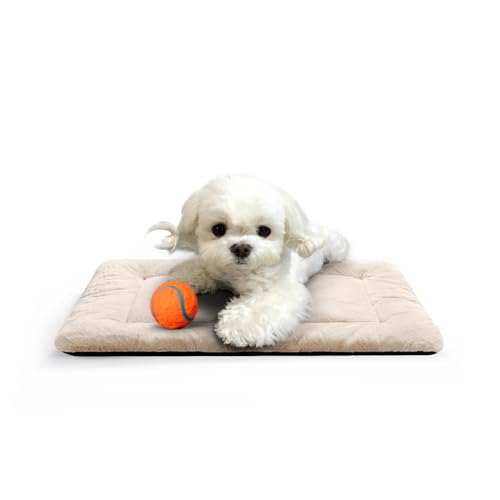 Dog Crate Pad Washable Dog Bed for Crate Small Cozy Mat 22 (22.0"L x 13.0"W x 1.0"Th / cream)