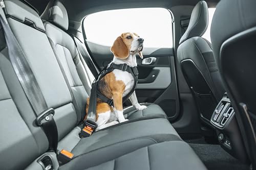 Cappy Dog Harness L (Large)