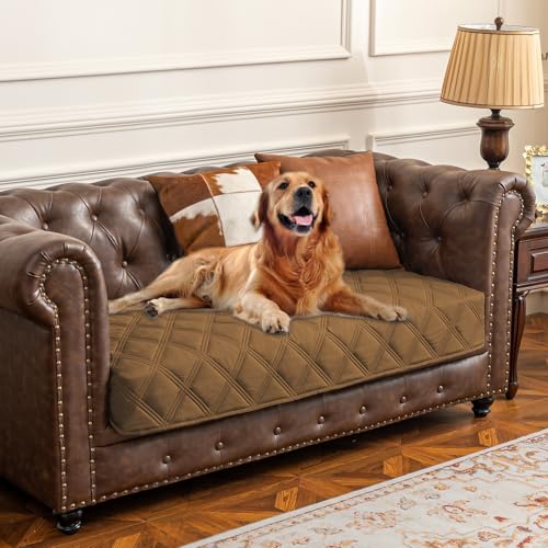 Waterproof Dog Bed Cover Pet Blanket with Anti (30x53 Inch (Pack of 1) / Camel)