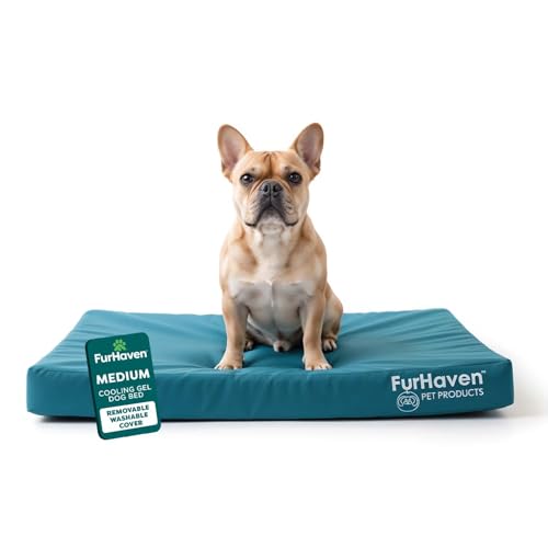 Water Resistant Orthopedic Dog Bed for Medium Dogs (Medium / Deep Lagoon)