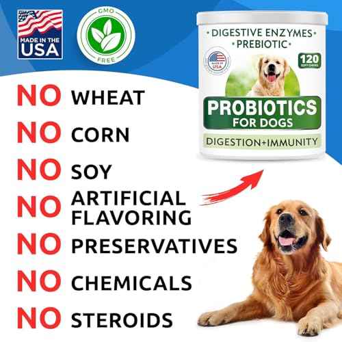 Probiotics for Dogs (Probiotic Chews / 240Ct (Chicken))