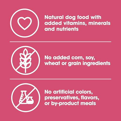 Grain Free Salmon Wet Dog Food