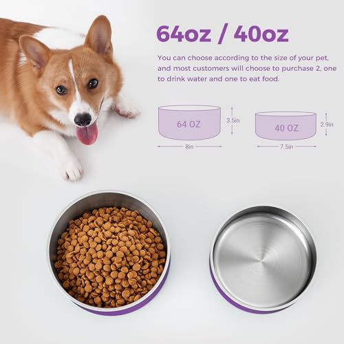 Dog Bowl Stainless Steel Food and Water Bowl (64 oz / Purple)