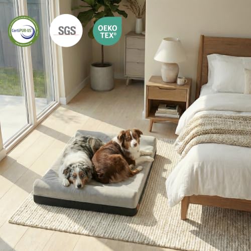 Orthopedic Dog Bed (50.0"L x 36.0"W x 10.0"Th / Slate Gray)