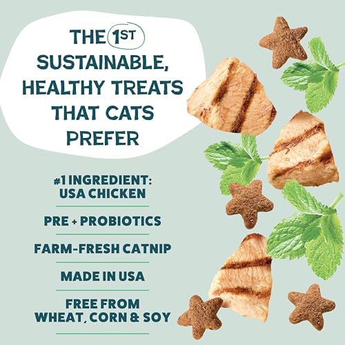 Crunchy Cat Treats (2.5 Ounce (Pack of 1))