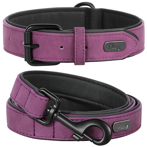 PU Leather Dog Collar and Leash Set (XL: Neck 17-23", Width 1¼" / Purple Set)