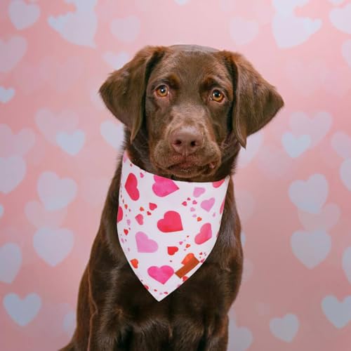 Valentine Dog Bandana (X-Large / Valentine)