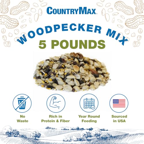 5LB Backyard Seeds Woodpecker No (Woodpecker / 5 Pound (Pack of 1))