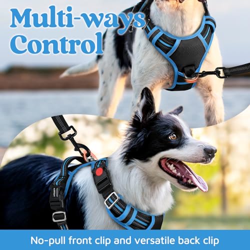Dog Harness for Large (Black & Blue / X-Large)