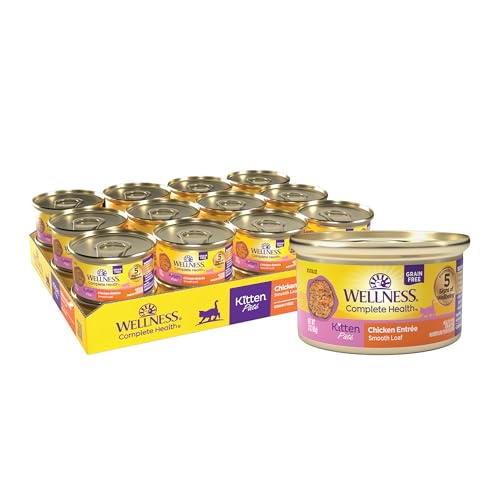 Complete Health Pate Kitten Canned Wet Cat Food (3 Ounce (Pack of 24))