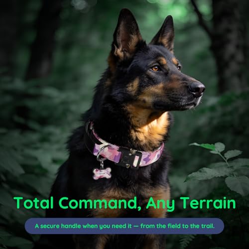Premium Tactical Dog Collar (Pink Camo / L: Fits Neck 17.5"-21.5")