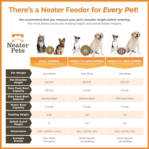 Express Mess Proof Dog Bowls Elevated for Small Breed (Small w/ Metal Slow Feed Bowl / Midnight Black)