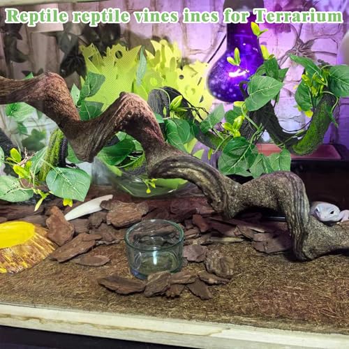 Medium Reptile Vines Thick Terrarium Plants 70 Inches Long Flexible Climbing Branch with Leaves Snake Tank Accessories Greenery Habitat Decor for Bearded Dragon Chameleon Gecko Lizard (Black Reptile Vines (Lengh:70" Dia: 1.2 In))