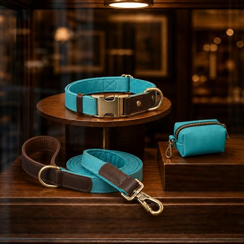 PU Leather Dog Collar for Large Dogs (Light Blue / XL: Neck 20-27", Width 1¼")