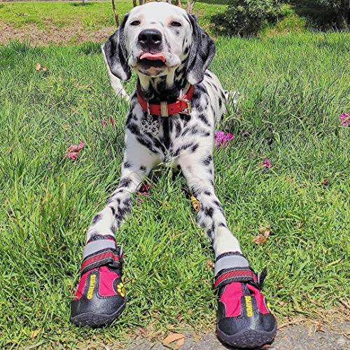 Dog Shoes for Hot Pavement (Size 7: 2.8''x3.2"(W*L) (Pack of 4))